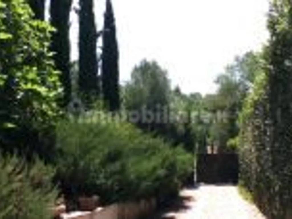 Rustico / casale a Fucecchio - Foto 2