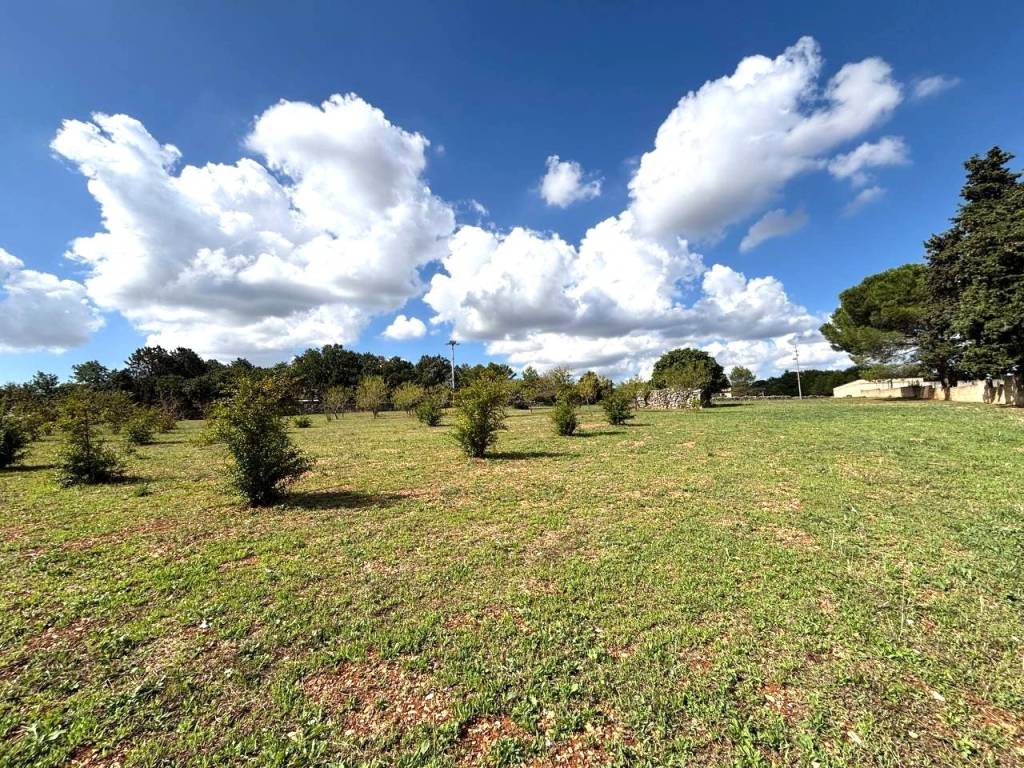 Terreno a Martina franca in contrada san domenico - Foto 4