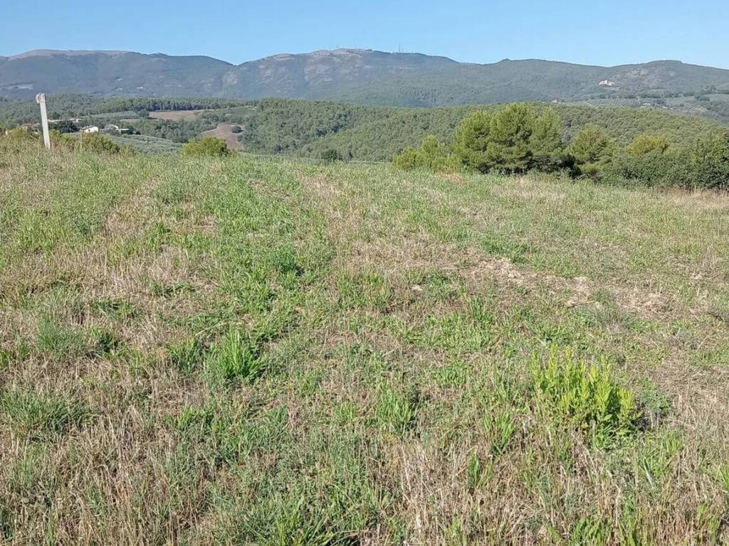 Terreno a Castel ritaldi - Foto 2