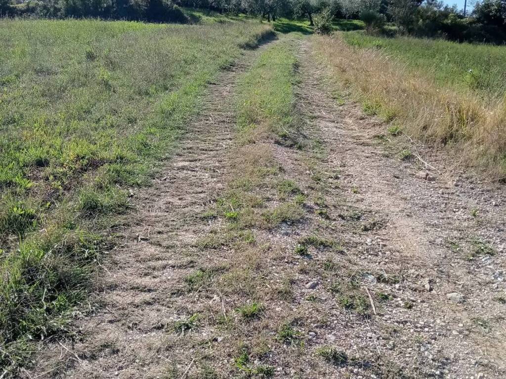 Terreno a Castel ritaldi - Foto 3