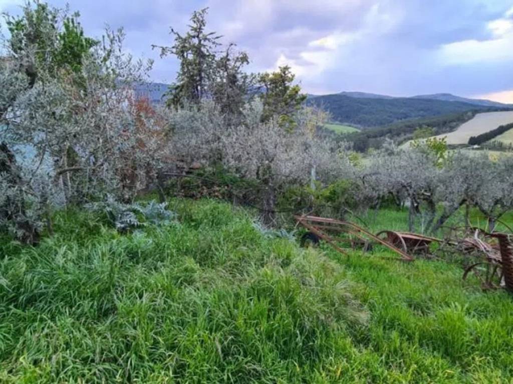 Villa a Spoleto - Foto 3