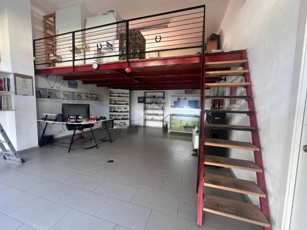 Immobile a Cosenza in Viale Giacomo Mancini, 142 - Foto 4