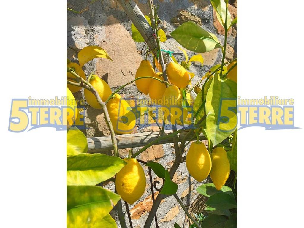 Rustico / casale a Riomaggiore in Strada Provinciale delle Cinque Terre - Foto 2