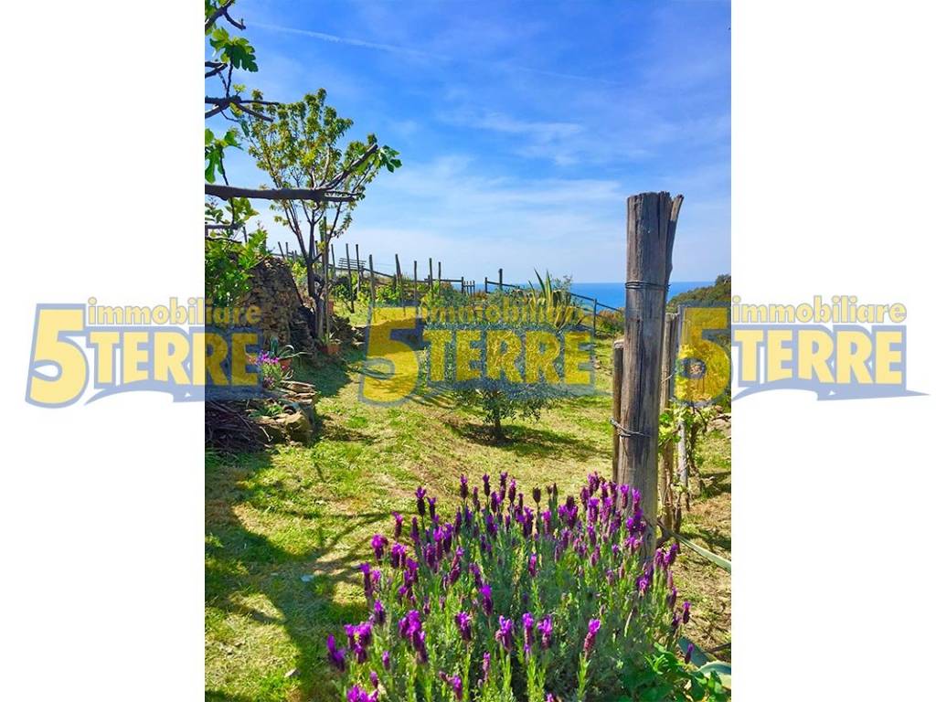 Rustico / casale a Riomaggiore in Strada Provinciale delle Cinque Terre - Foto 3