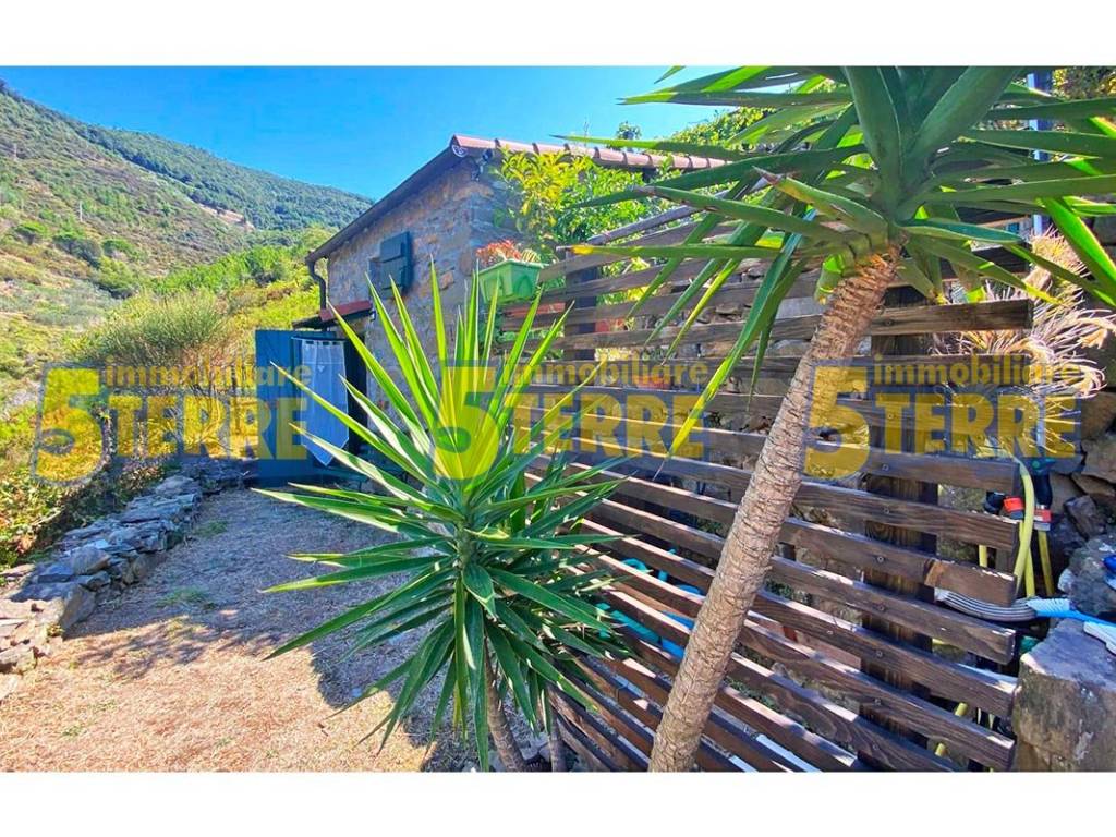 Rustico / casale a Riomaggiore in Strada Provinciale delle Cinque Terre - Foto 5