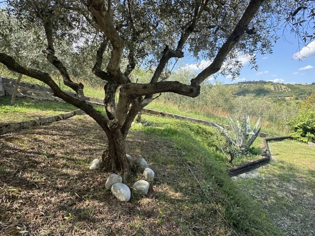 Casa indipendente a San paolo di jesi in Contrada Battinebbia, 18 - Foto 3