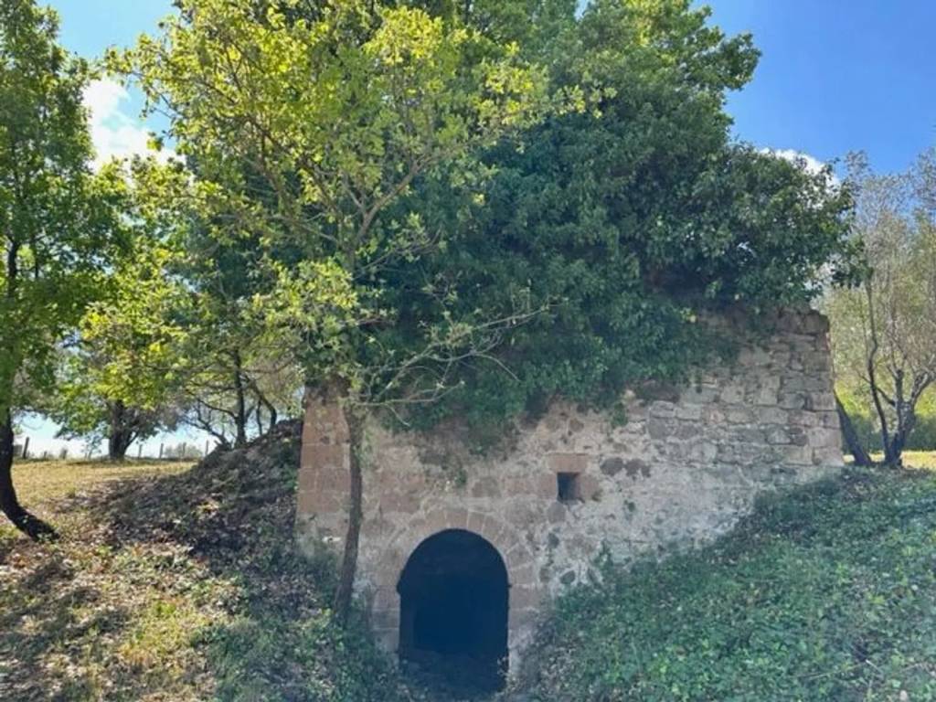 Rustico / casale a Vetralla in Strada Della Veronica, 7 - Foto 3