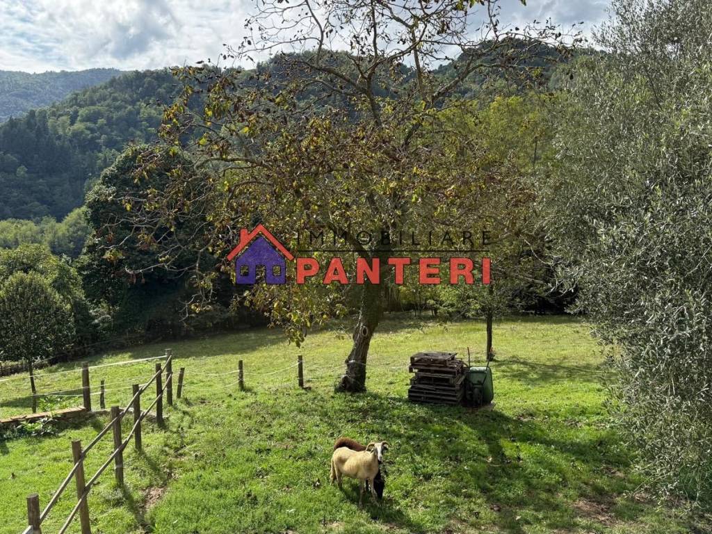 Rustico / casale a Pescia in Via Mammianese Nord - Foto 2