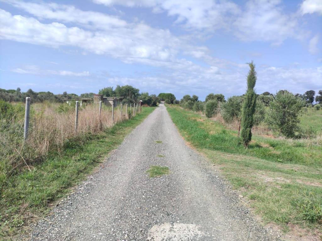 Terreno a Rosignano marittimo in Località Sassicaia - Foto 3