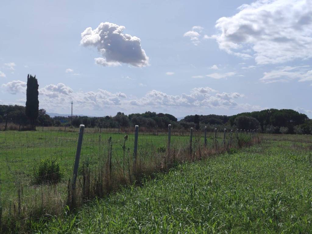 Terreno a Rosignano marittimo in Località Sassicaia - Foto 4