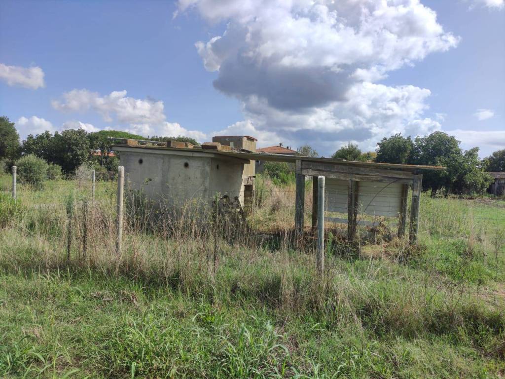 Terreno a Rosignano marittimo in Località Sassicaia - Foto 5
