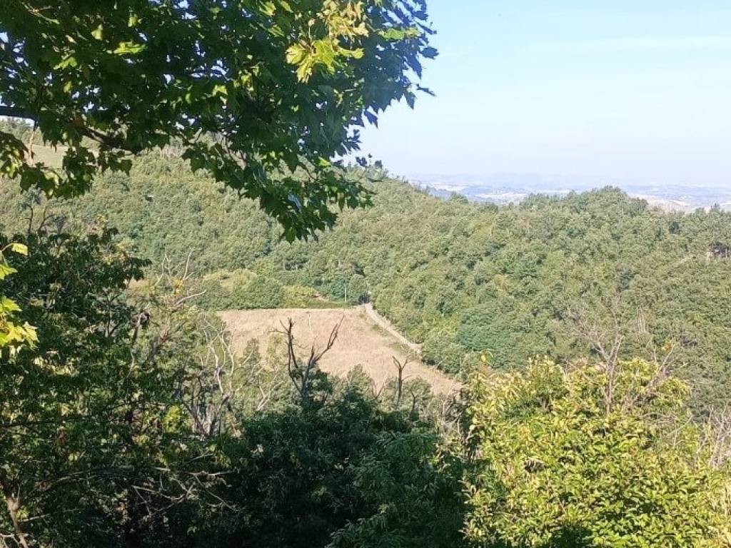 Rustico / casale a Sasso marconi in Via Lagune, 1 - Foto 3