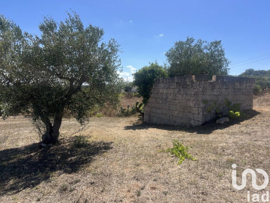 Rustico / casale a Cisternino in Via chiobbica - Foto 3