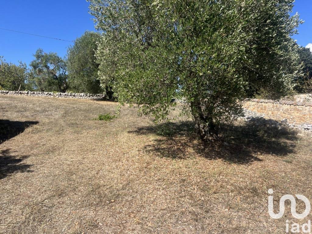 Rustico / casale a Cisternino in Via chiobbica - Foto 4