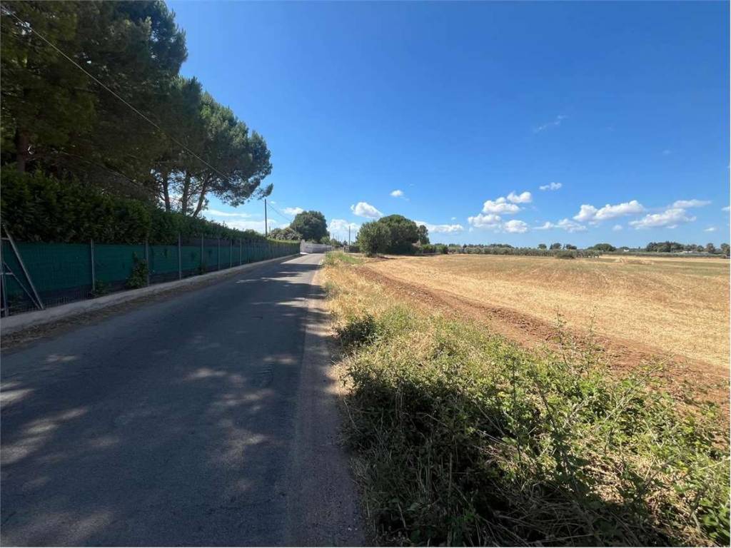 Terreno a Francavilla fontana in Contrada Lazzaretto - Foto 2