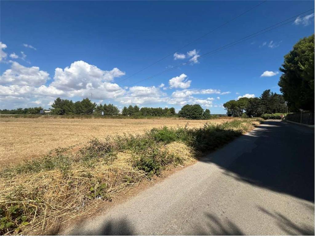 Terreno a Francavilla fontana in Contrada Lazzaretto - Foto 3