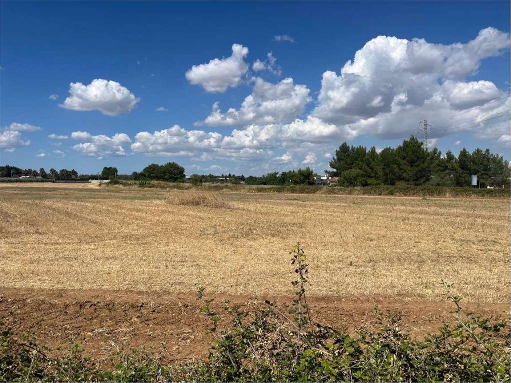 Terreno a Francavilla fontana in Contrada Lazzaretto - Foto 4