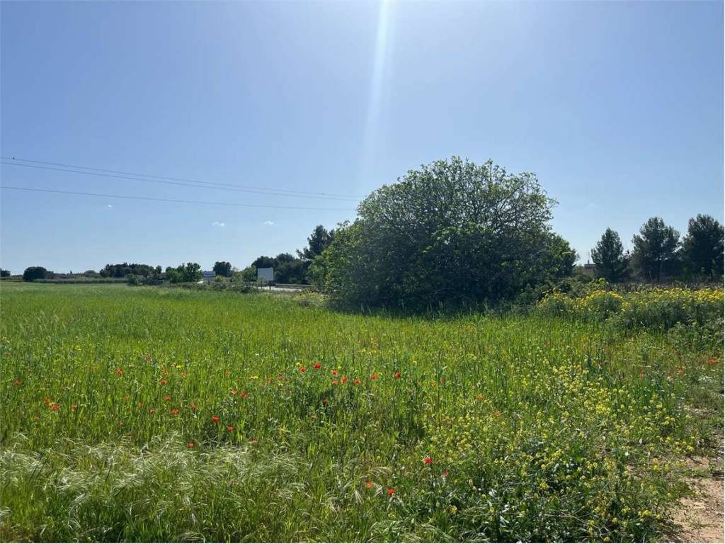 Terreno a Francavilla fontana in Contrada Lazzaretto - Foto 4