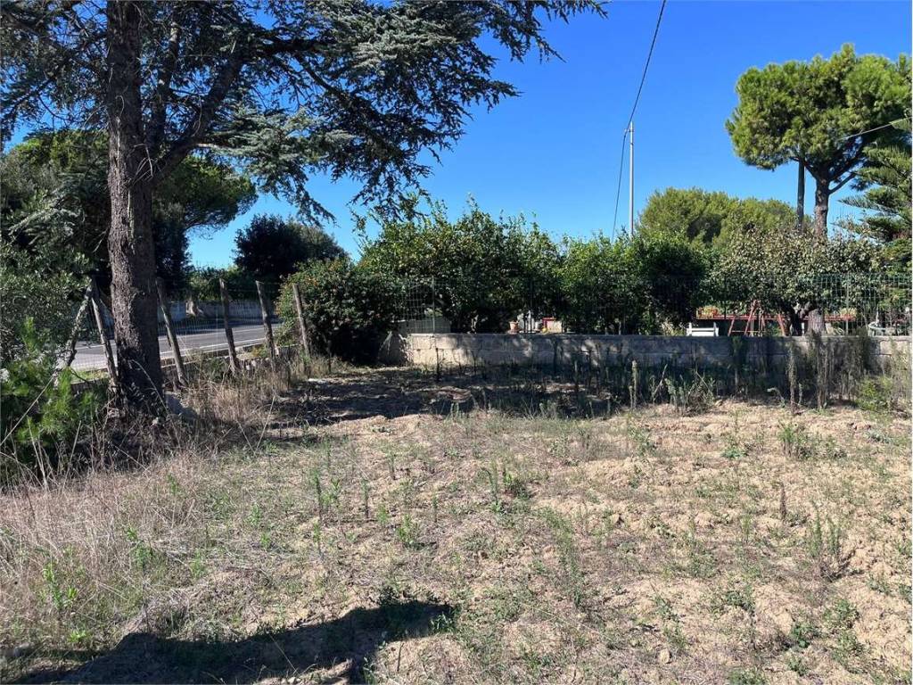 Terreno a Francavilla fontana in Strada Provinciale 55 - Foto 3