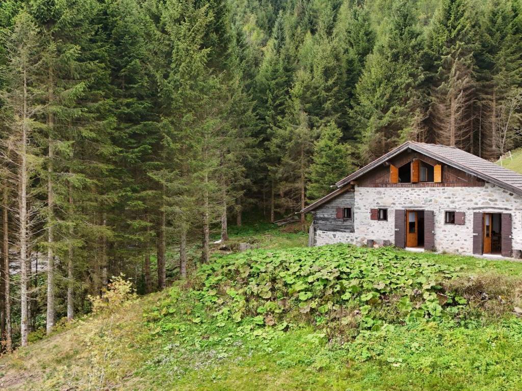 Rustico / casale a Ronchi valsugana in Strada Comunale Desene-Samona-Paule - Foto 3