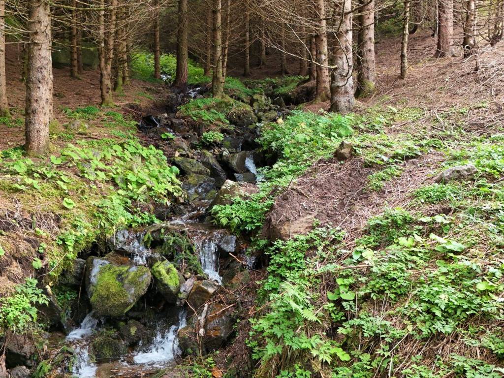 Rustico / casale a Ronchi valsugana in Strada Comunale Desene-Samona-Paule - Foto 5