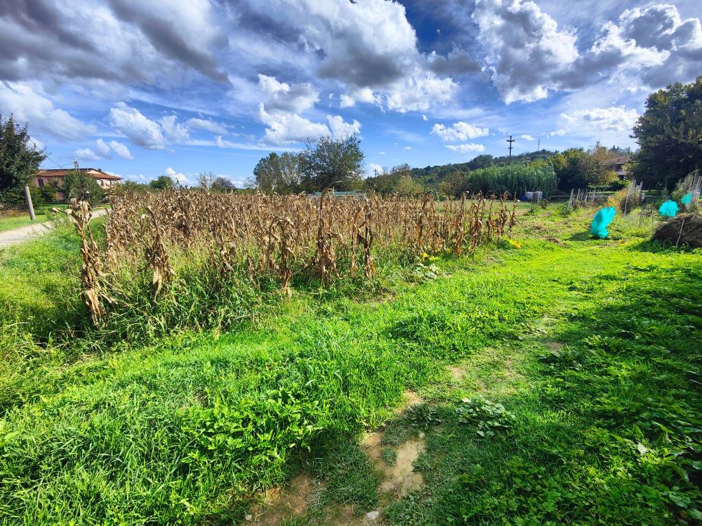 Terreno a Montevarchi in Via Ammiraglio Burzagli - Foto 5