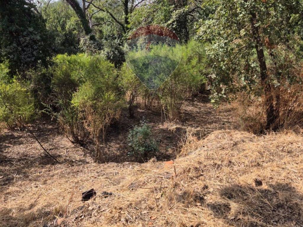 Terreno a Acireale in Via Rigolato - Foto 2
