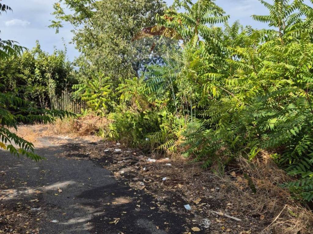 Terreno a Acireale in Via Rigolato - Foto 5