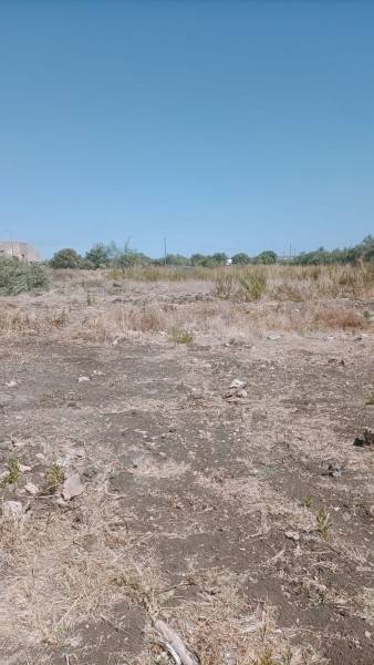 Terreno a Floridia - Foto 3