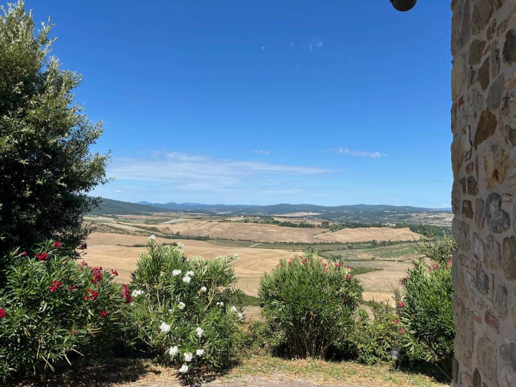 Rustico / casale a Montalcino in LOCALITÀ COLLODI - Foto 5