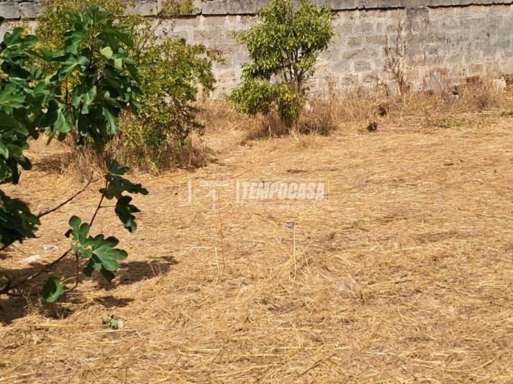 Terreno a Carmiano in Via Medaglia d'Oro Petrelli - Foto 2