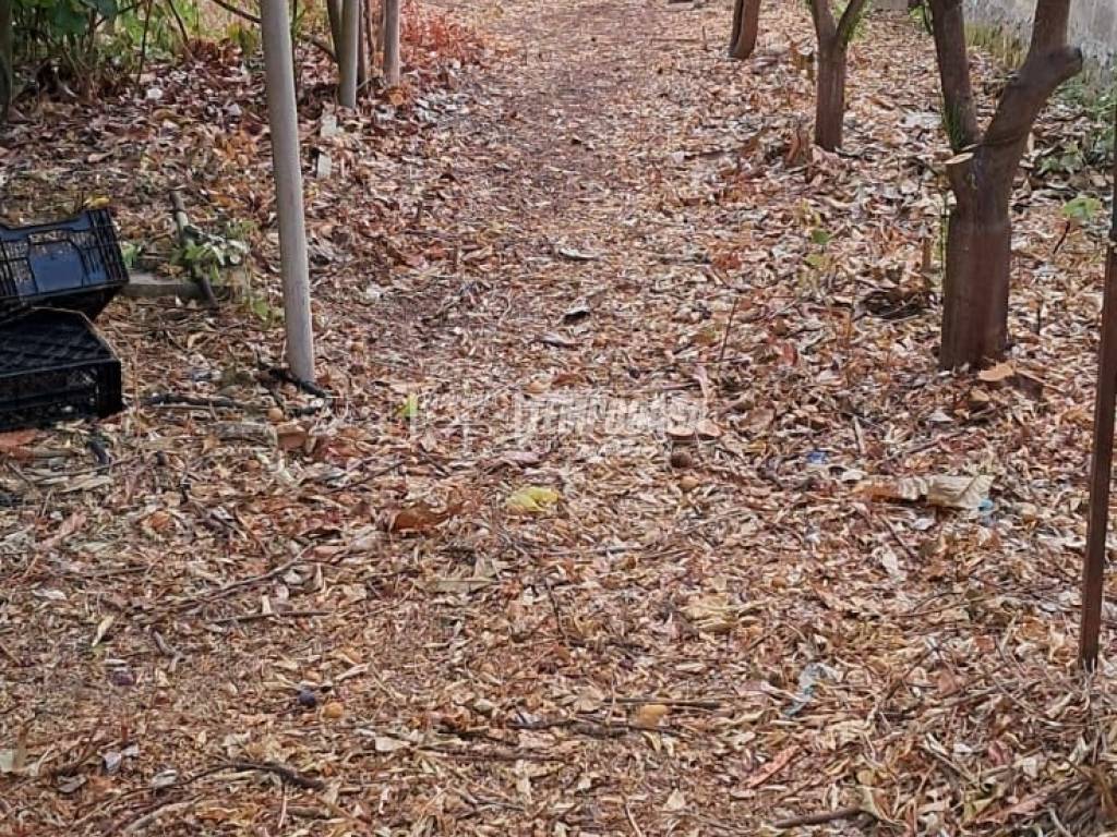 Terreno a Carmiano in Via Medaglia d'Oro Petrelli - Foto 5