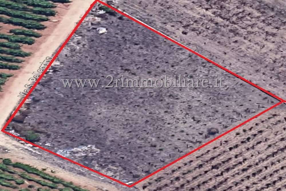 Terreno a Mazara del vallo - Foto 2