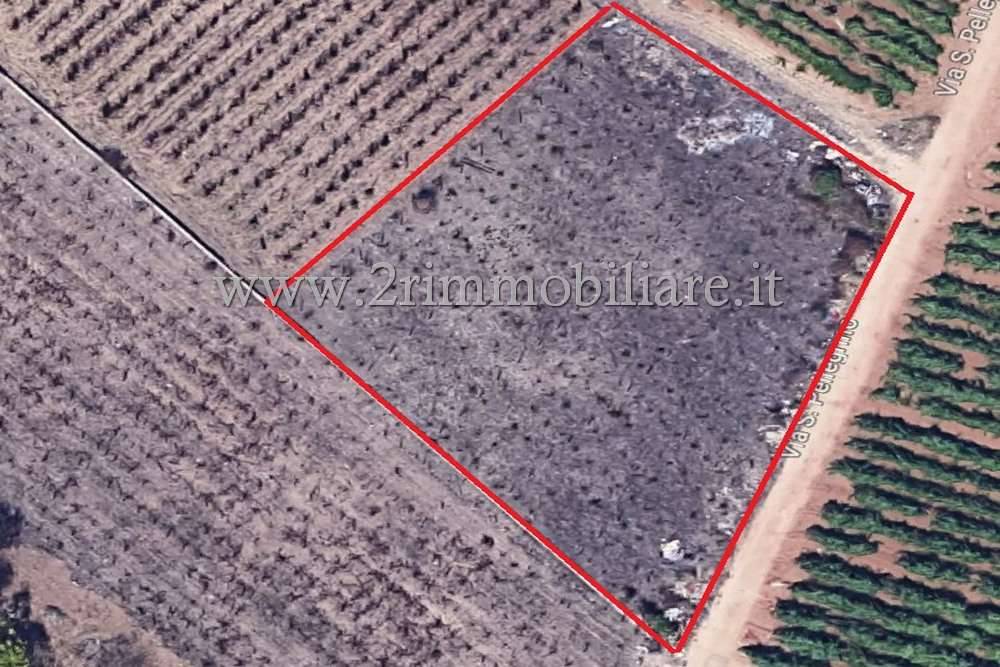 Terreno a Mazara del vallo - Foto 3