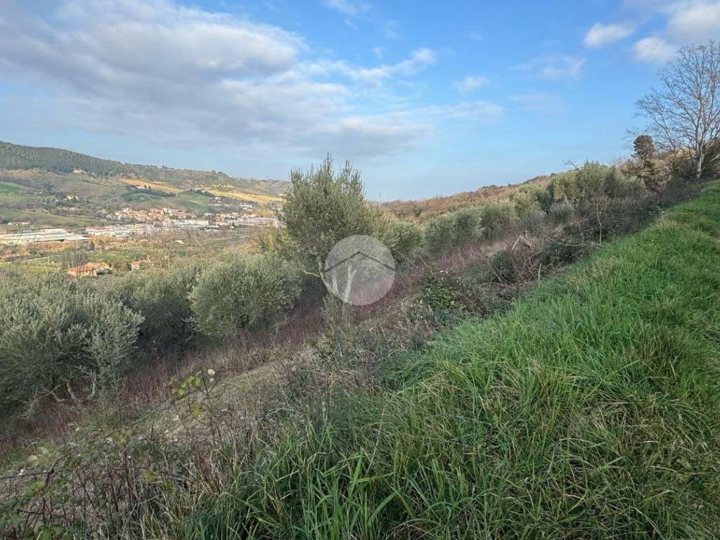 Terreno a Ripatransone in Bore Tesino - Foto 4