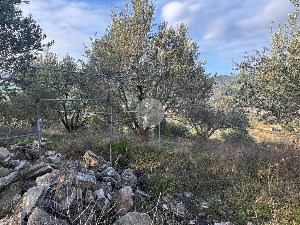 Terreno a Ripatransone in Bore Tesino - Foto 5