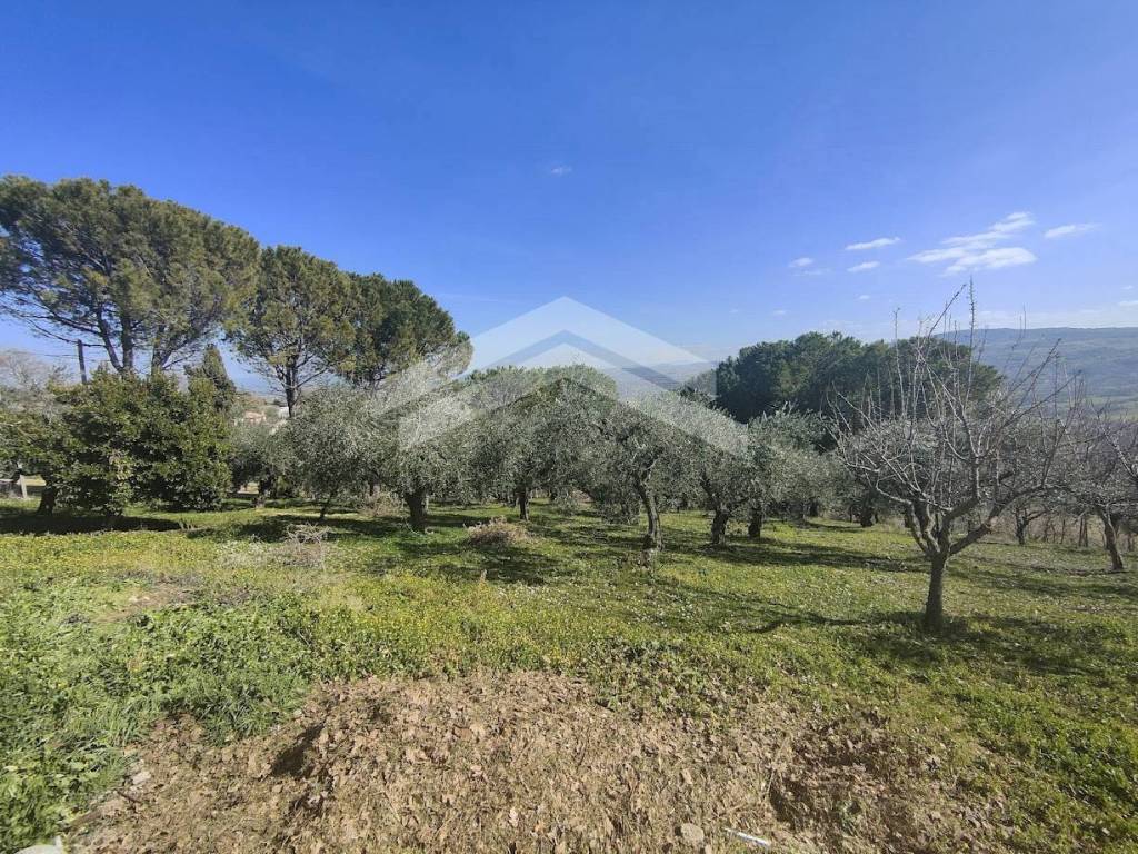 Casa indipendente a Ferrazzano in C.da Sant'Andrea, 4 - Foto 2