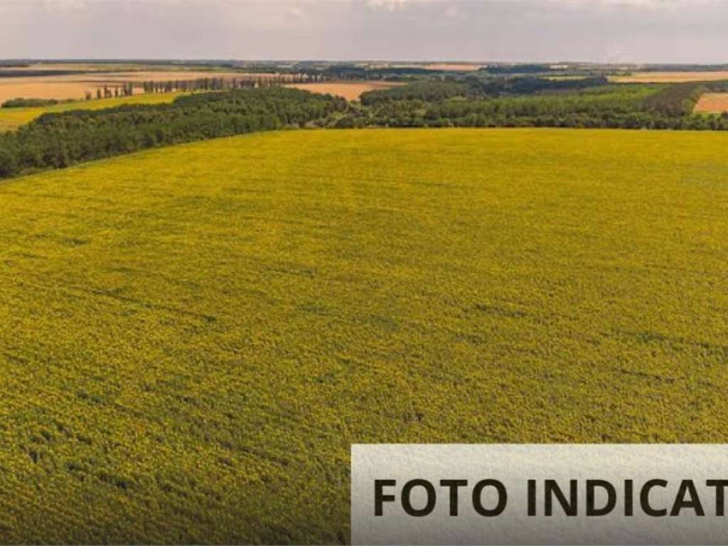 Terreno a Pistoia in Via Montebuono - Foto 3
