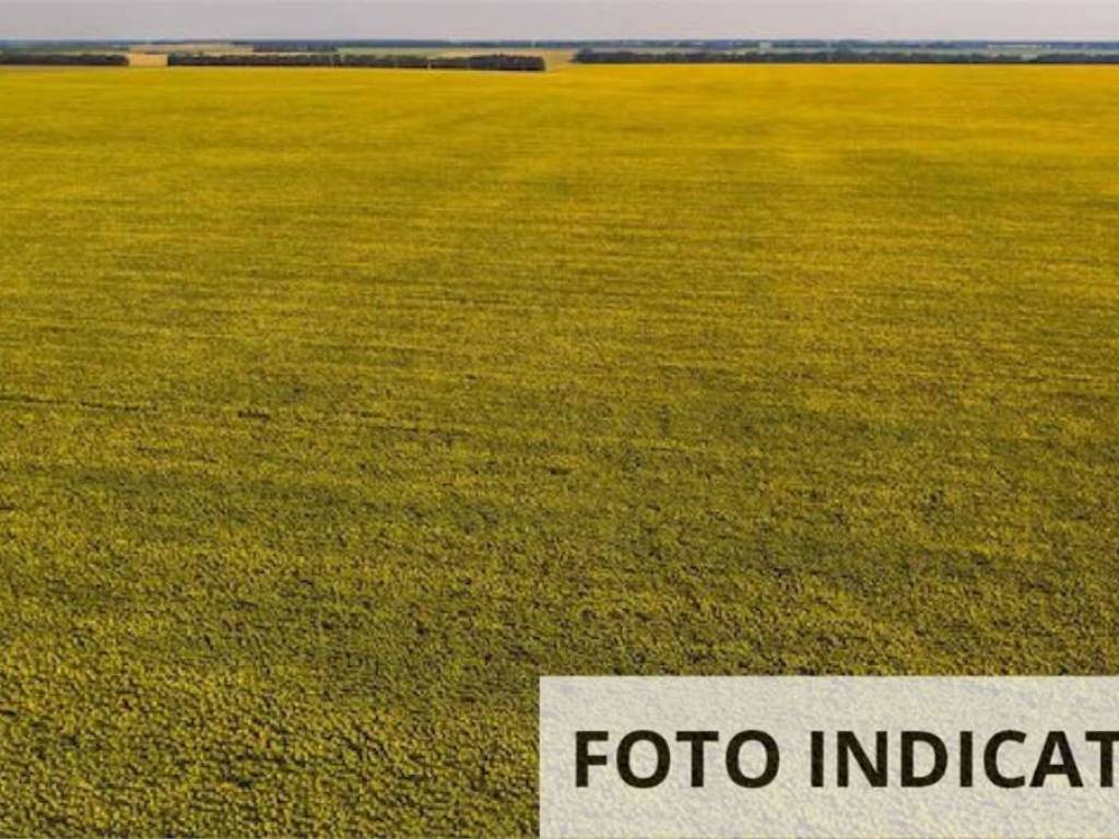 Terreno a Pistoia in Via Montebuono - Foto 4
