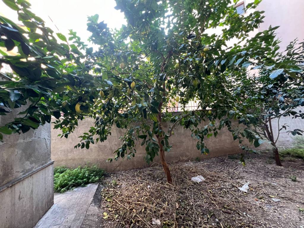 Appartamento a Cerignola in Via Perugia - Foto 5
