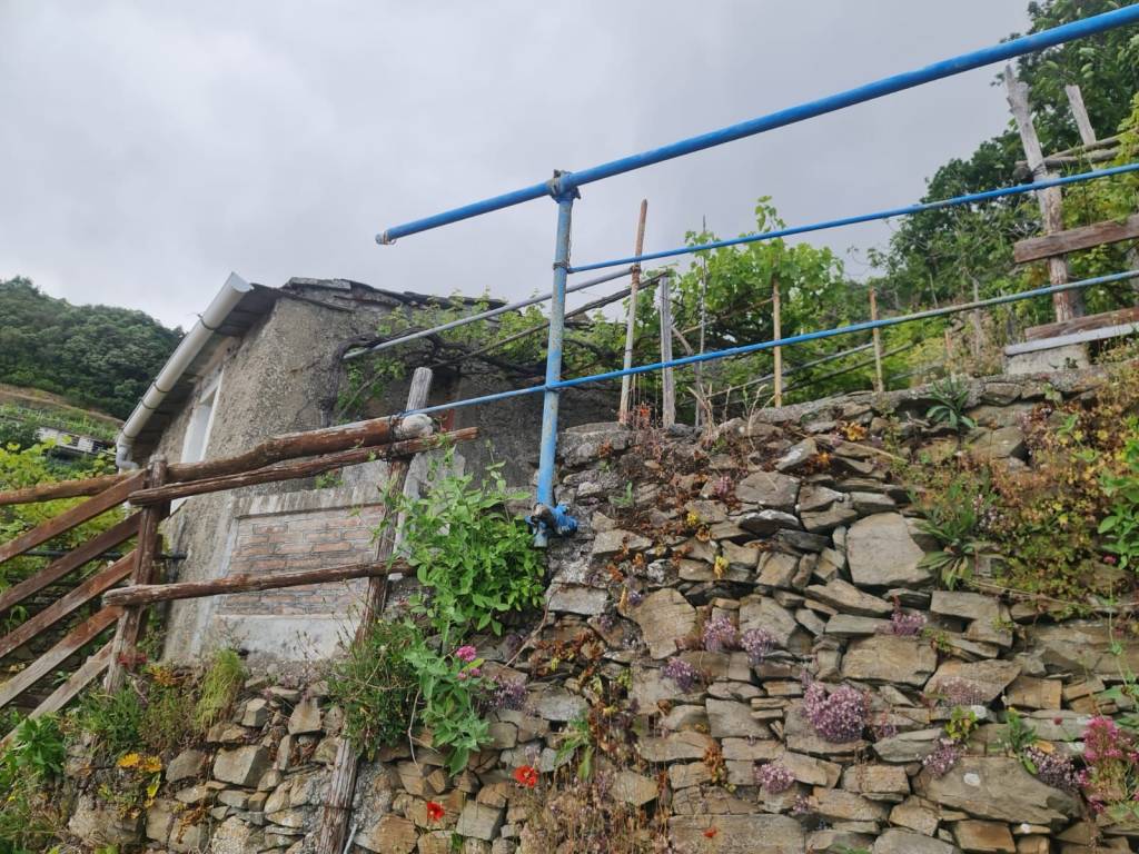 Rustico / casale a La spezia in Casotti - Foto 3
