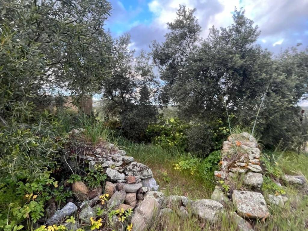 Terreno a Nuxis in NUXIS - Foto 2