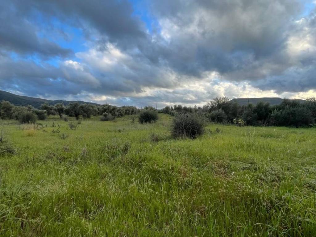 Terreno a Nuxis in NUXIS - Foto 5