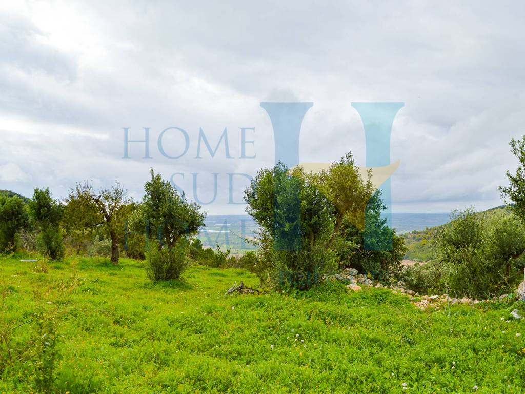 Terreno a Noto - Foto 4