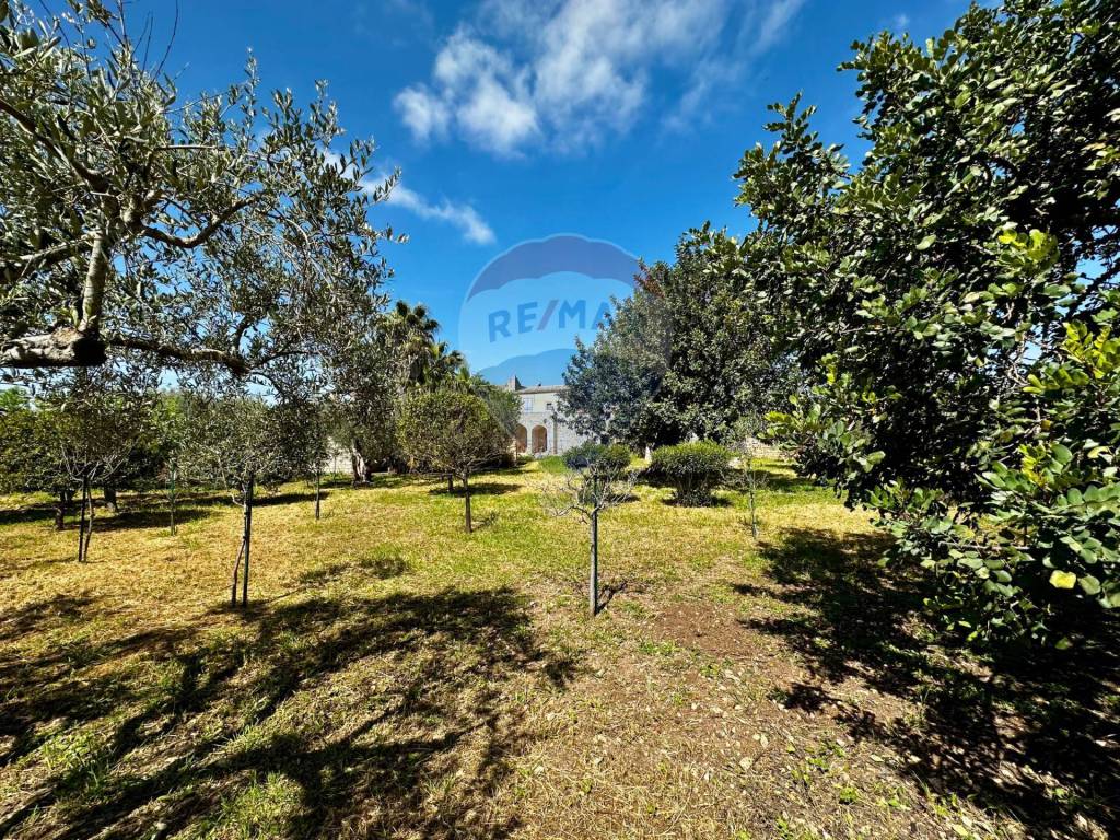 Rustico / casale a Modica in C.da Torre Finocchiara - Foto 3