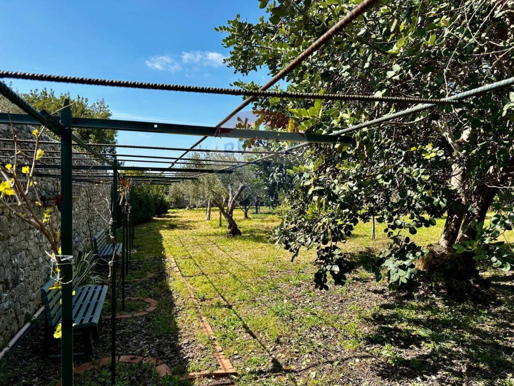 Rustico / casale a Modica in C.da Torre Finocchiara - Foto 4