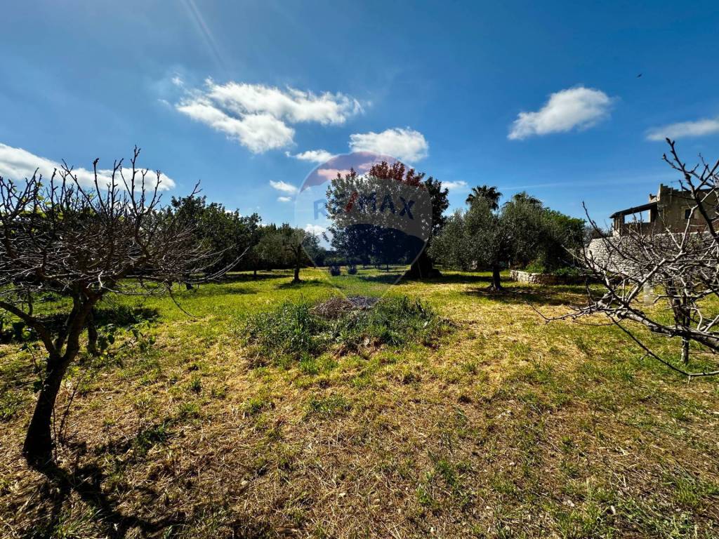Rustico / casale a Modica in C.da Torre Finocchiara - Foto 5
