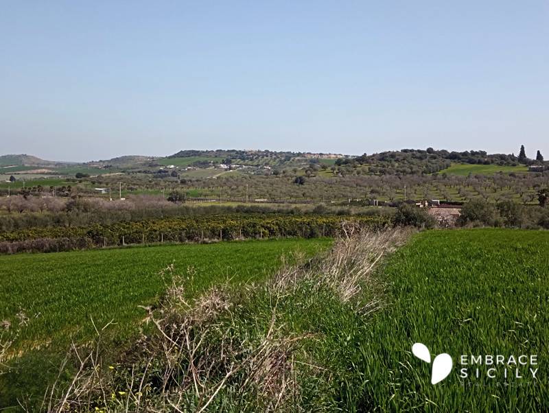 Terreno a Noto in Strada Provinciale Rosolini-Pachino - Foto 4