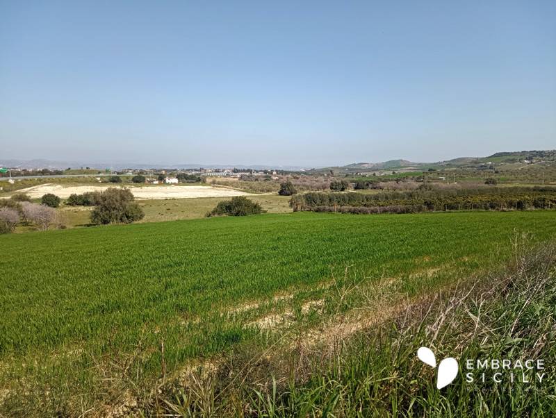 Terreno a Noto in Strada Provinciale Rosolini-Pachino - Foto 5