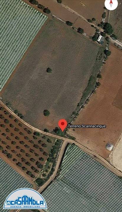 Terreno a Mola di bari in Strada Comunale Scanna Cinque - Foto 2